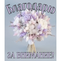 Благодарю за внимание!