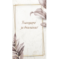 Благодарю за внимание!