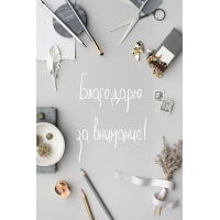 Благодарю за внимание!