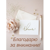 Благодарю за внимание!