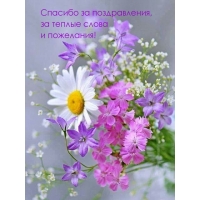 Спасибо за поздравления, за теплые слова и пожелания!