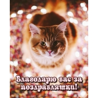 Благодарю вас за поздравляшки!