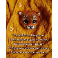 Новый 2022 год. Поздравляю! Несёт тигрёнок радость и достаток