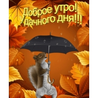 Доброе утро! Удачного дня!