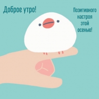 Доброе утро! Позитивного настроя