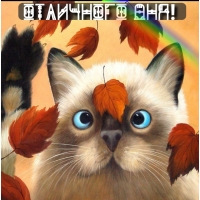 Отличного дня!
