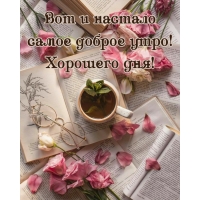 Вот и настало самое доброе утро! Хорошего дня!