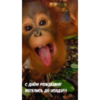 С днём рождения! Веселись до упаду!))