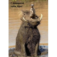 С днюшкой тебя, бро!