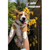 С днём рождения!
