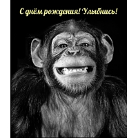 С днём рождения! Улыбнись!