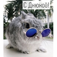 С Днюхой!