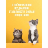 С Днём Рождения поздравляю!