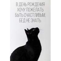 В день рождения хочу пожелать быть счастливым, бед не знать.