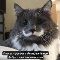Хочу поздравить с днем рождения! Добра и счастья пожелать