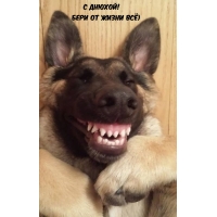 С днюхой! Бери от жизни всё)