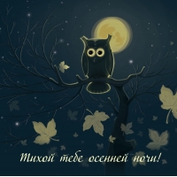 Тихой тебе осенней ночи!