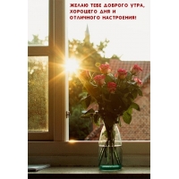 Желаю тебе доброго утра, хорошего дня и отличного настроения!