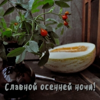 Славной осенней ночи!