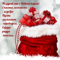С Новым годом! Счастье, нежность пусть мелькают хороводом