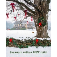 Снежного нового 2022 года!