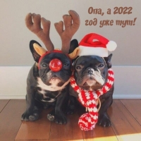 Опа, а 2022 год уже тут!