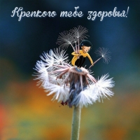 Крепкого тебе здоровья!