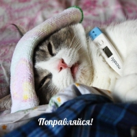 Поправляйся!