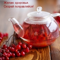 Желаю здоровья. Скорей поправляйся!