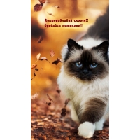 Выздоравливай скорее! Одевайся потеплее!