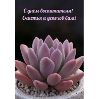 С днём воспитателя! Счастья и успехов вам!