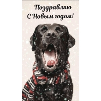 Поздравляю с Новым годом!