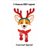 С Новым 2022 годом! Счастья! Удачи!