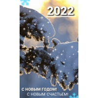 С НОВЫМ ГОДОМ! 2022