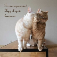 Всего хорошего! Жду скорой встречи!