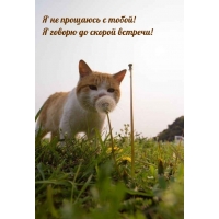 Я не прощаюсь с тобой! Я говорю до скорой встречи!