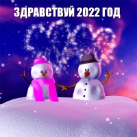 Здравствуй 2022 год
