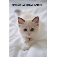 Прощай. До новых встреч.