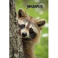 Увидимся)