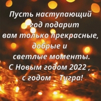 C Новым годом 2022, с годом Тигра!