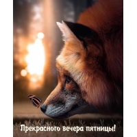 Прекрасного вечера пятницы!