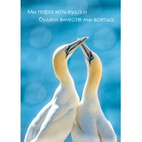 Мы пара хоть куда и будем вместе мы всегда.