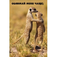 Обнимай меня чаще)