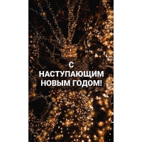 С НАСТУПАЮЩИМ НОВЫМ ГОДОМ!