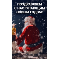 С наступающим годом
