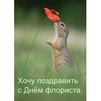 Хочу поздравить с Днём флориста.