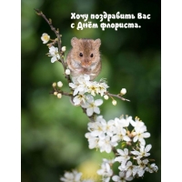 Хочу поздравить Вас с Днём флориста.