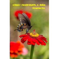 Спешу поздравить с Днём флориста.