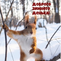 Доброго зимнего денька!
