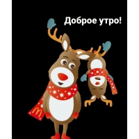 Доброе утро!